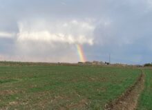 🖼 تصاویر زیبا از رنگین کمان و مزرعه زعفران شهر گلشن